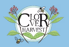 Screenshot 2026-02-11 150125