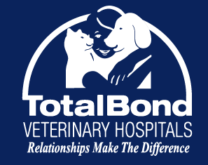 Screenshot 2026-02-12 112302