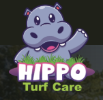 Screenshot 2026-02-12 121254