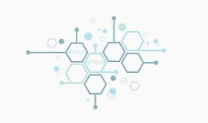 Screenshot 2026-02-12 125433